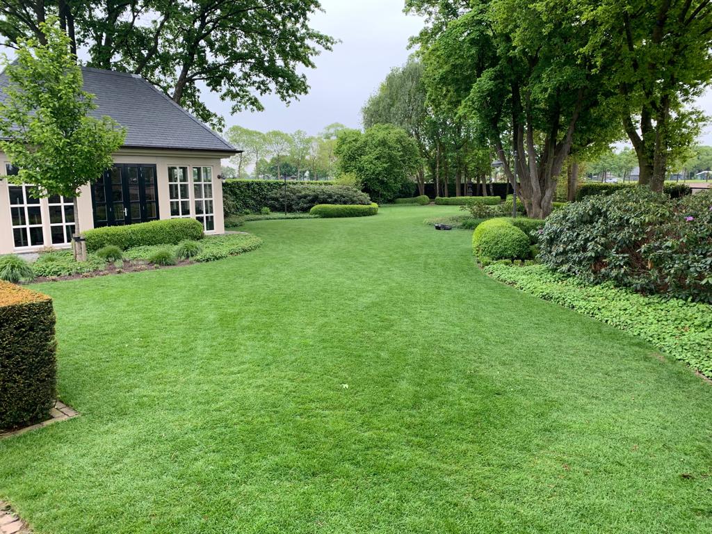 Een royale tuin met veel gras bij een huis met grote ramen, omringd door strakke hagen en bomen.